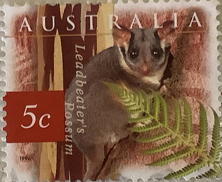 Street Lights Of Berlin