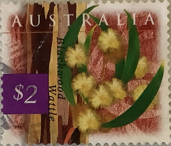 Screaming For Vengeance