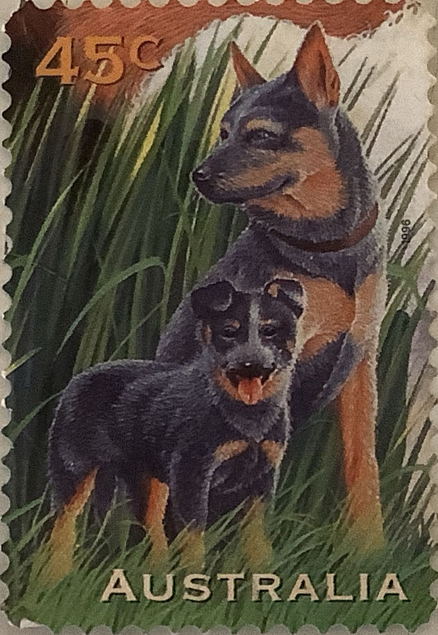 Explorers And Discoverers