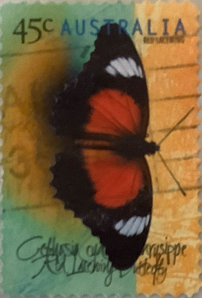 Issue 22 Dinosaurs Pnc Australia Australian Dinosaurs Kunbarrasaurus Ieversi Ram $1 Coin