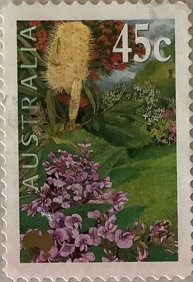 2000 Probing The Vastness Of Space