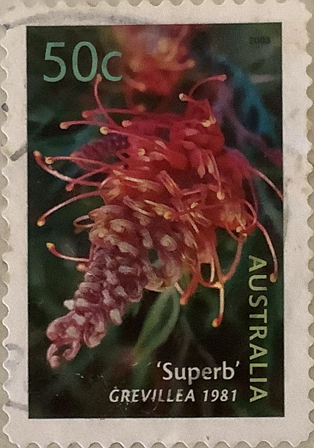 W1154 Party Time Gathering