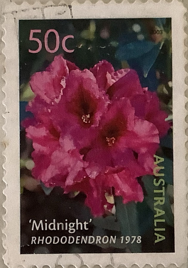 Pnc Australia Minnie Mouse Disney 100 Perth Mint Tuvalu $1 Coloured Coin