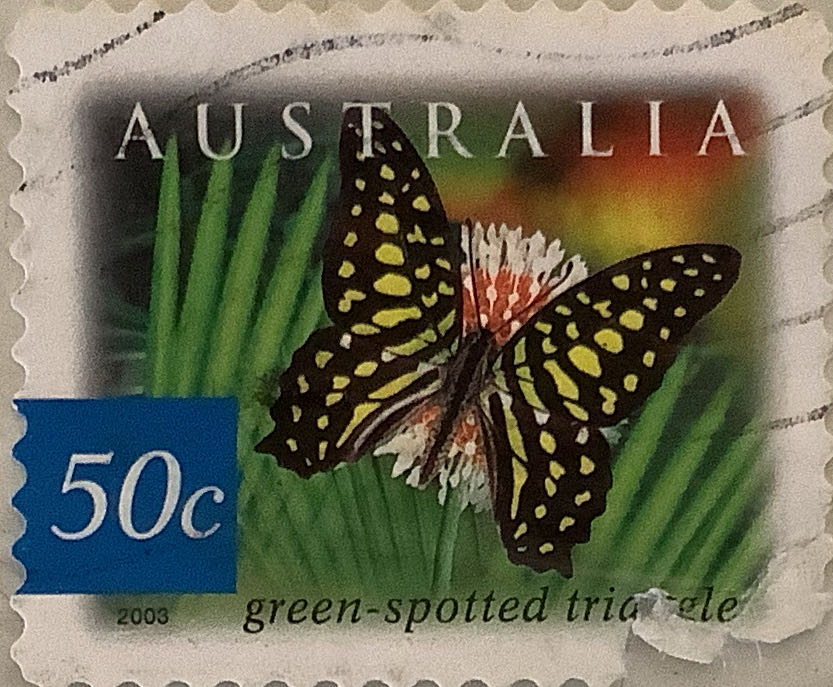 Special Occasions Love