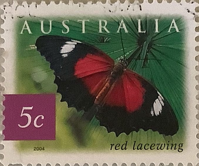 The 50th Anniversary Of The Bathurst Endurance Race Mount Panorama