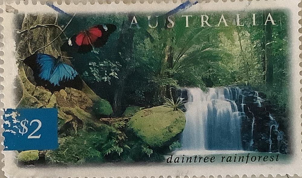 International Cooperation