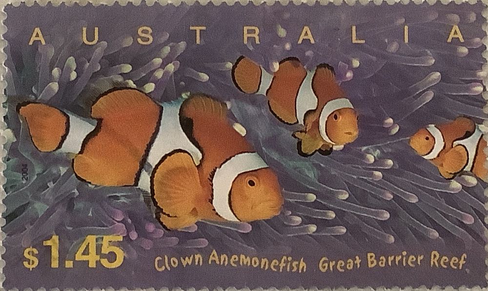 D1426 Over The Rainbow