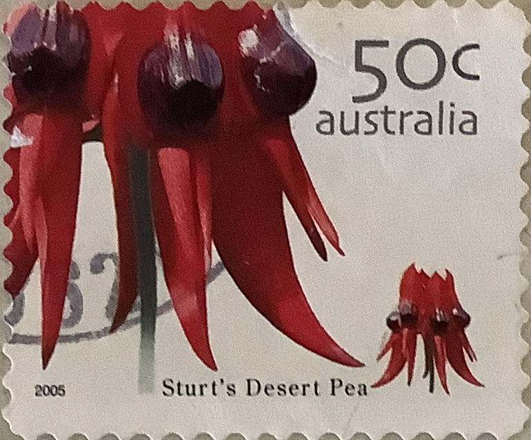 The 200th Anniversary Of The Colonization Of Australia The Goldrush