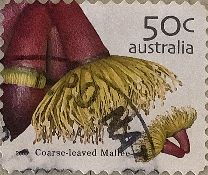 George Washington 1732 1799