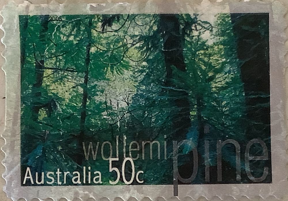 Commonwealth Meeting