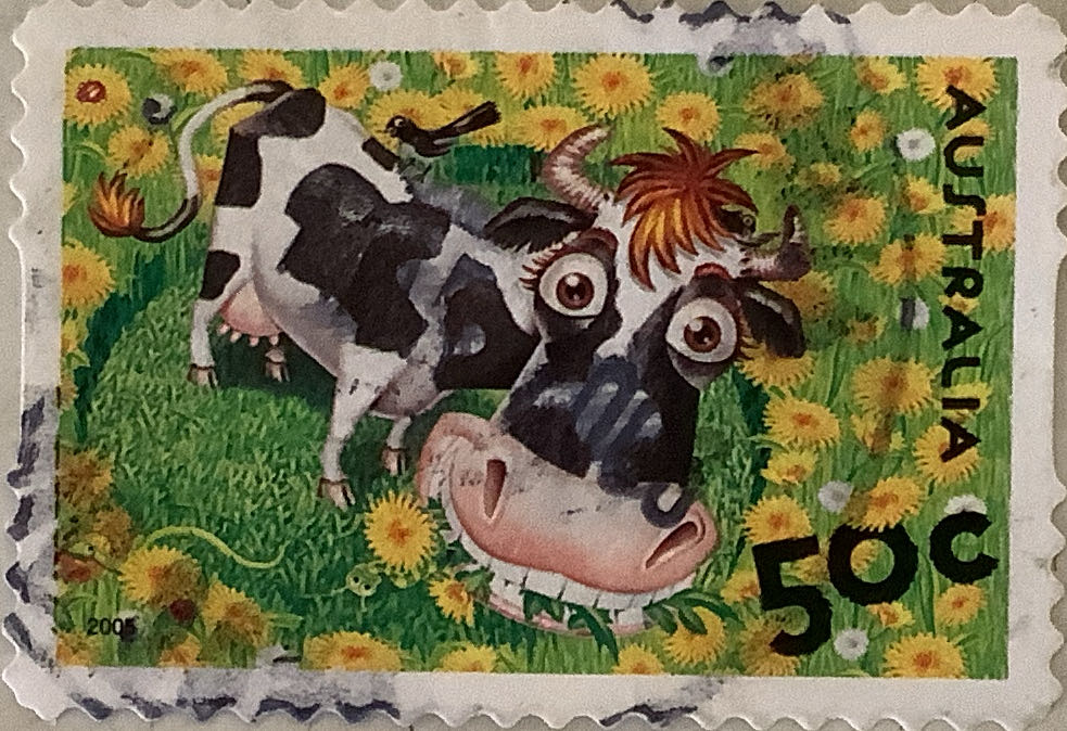 Цветы гор Кавказа