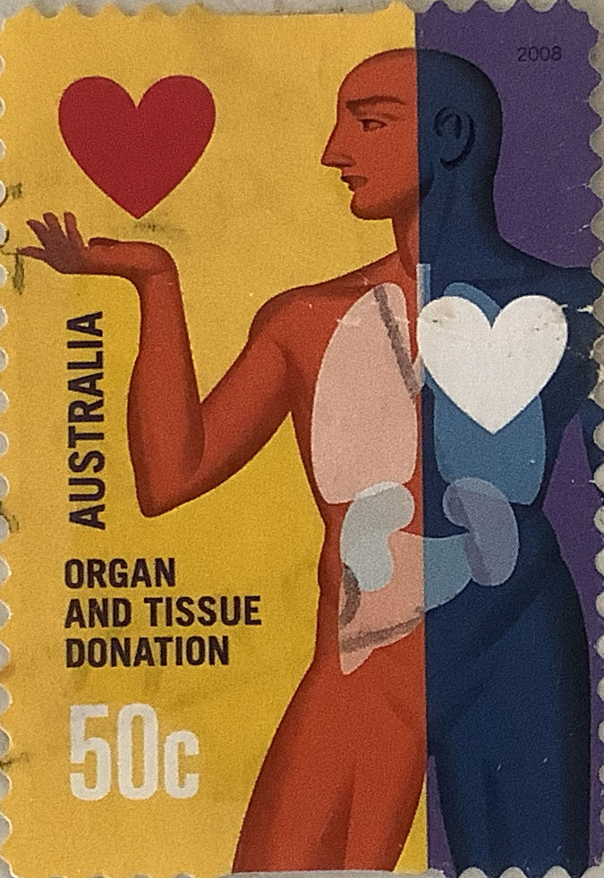 Lunar New Year Of The Tiger