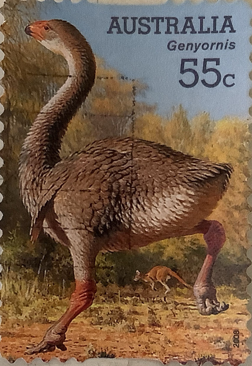 Flower Drawings By Stansslaw Wysplanski