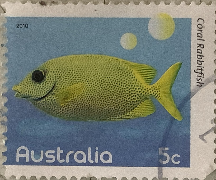 75 Year Motorized Flights