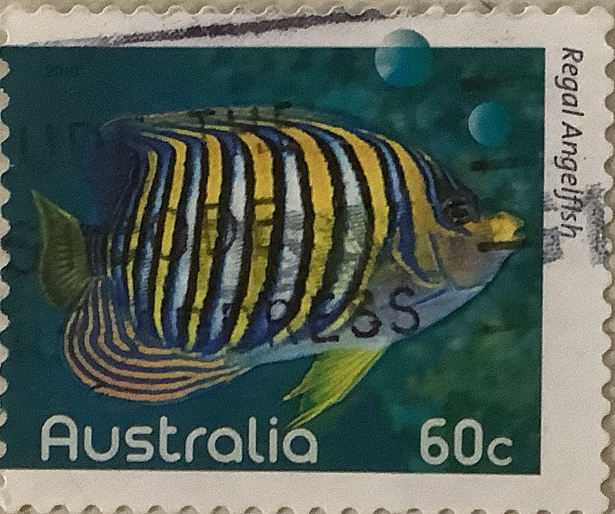 Star Wars The Duel: Rey Fine Art Print By Richard Luong ”new”