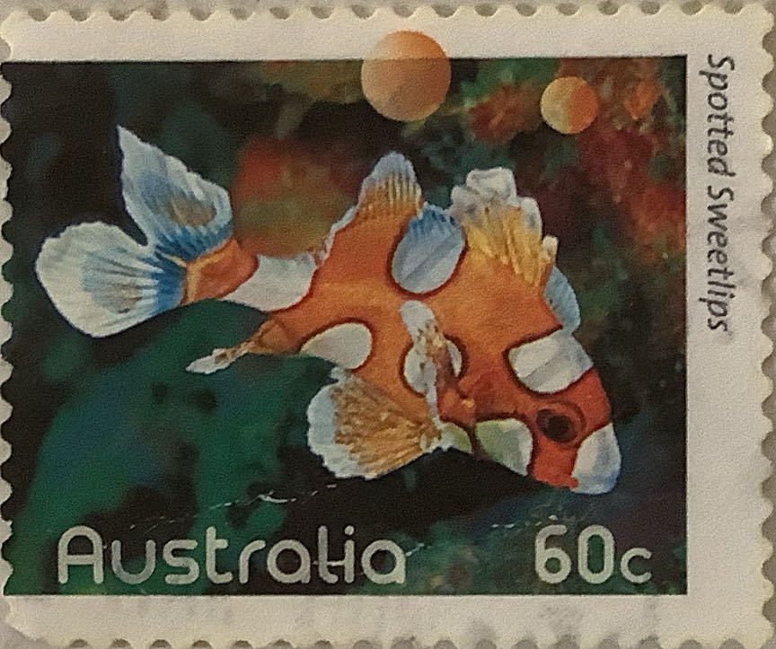 His Majesty King Charles III