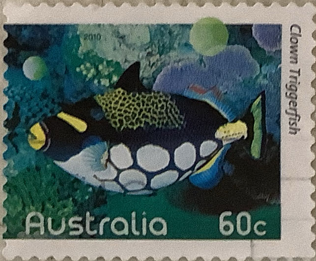 Полет космического корабля «Союз-21»