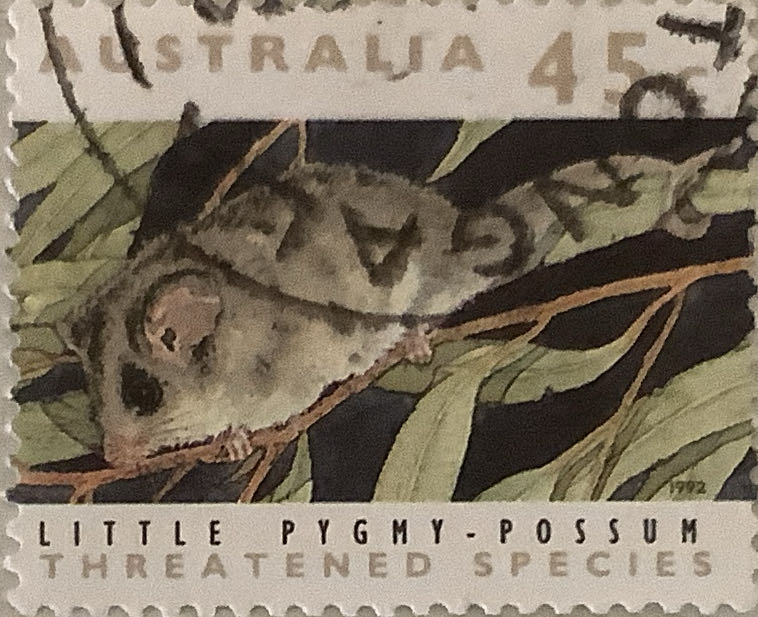 Great Australian Railway Journeys