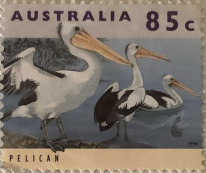 Pack Australia Jurassic World Camp Cretaceous Self Adhesive S