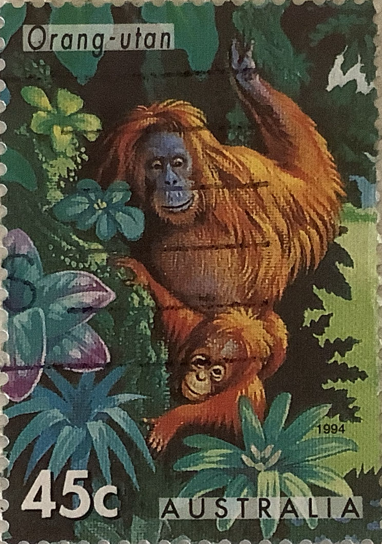 Prime Ministers Of Australia