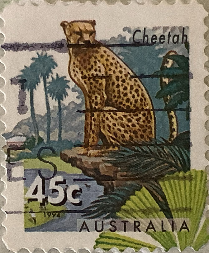 Australian National Gallery