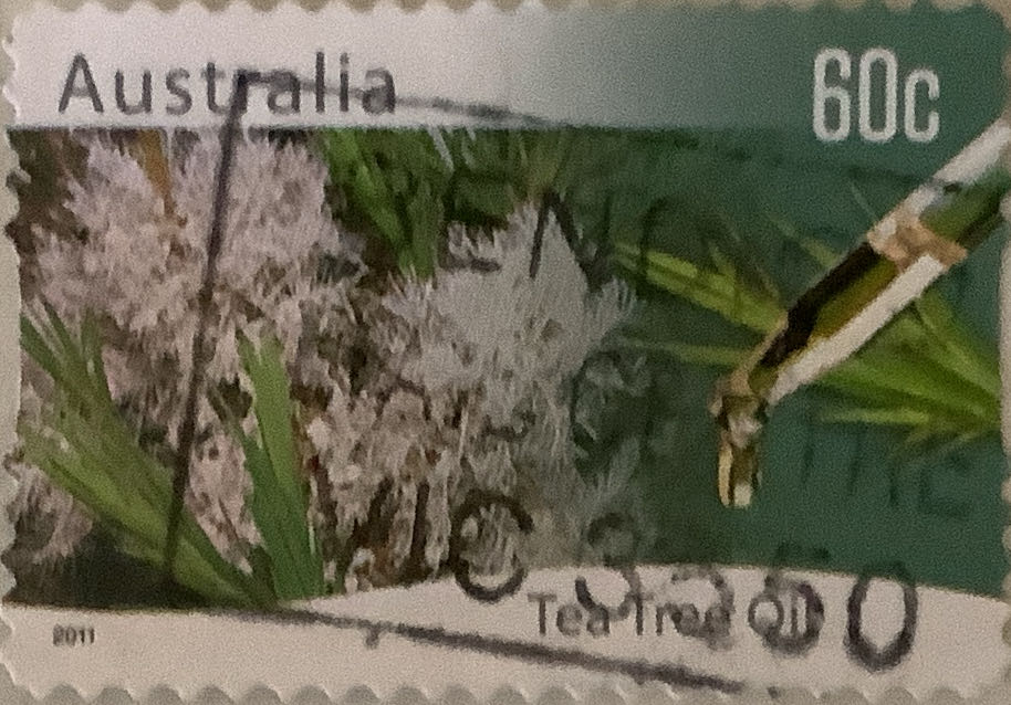 The 100th Anniversary Of The National Council Of Women 1896 To 1996