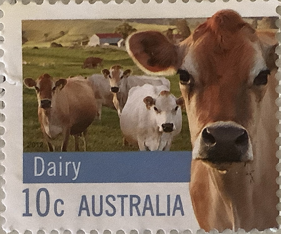 1948 Palomar Mountain Observatory