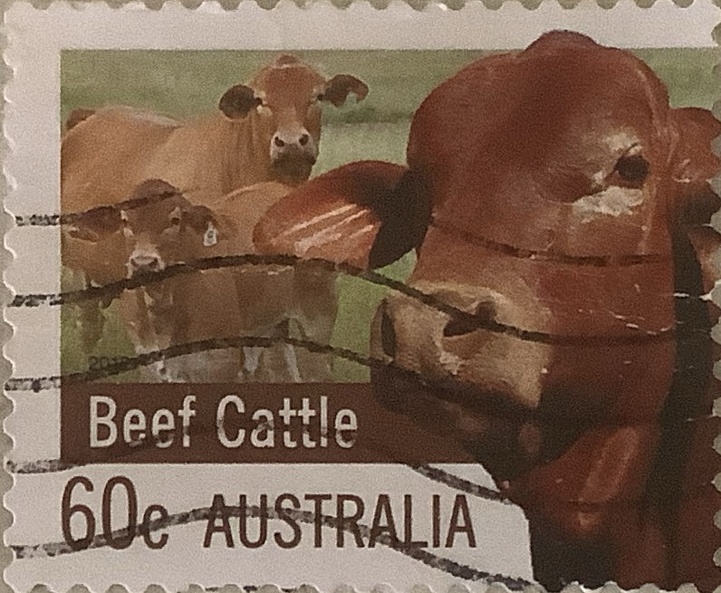 Greetings From America: Wyoming