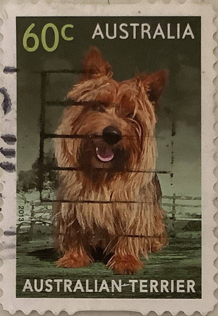 USA Holographic Stamp