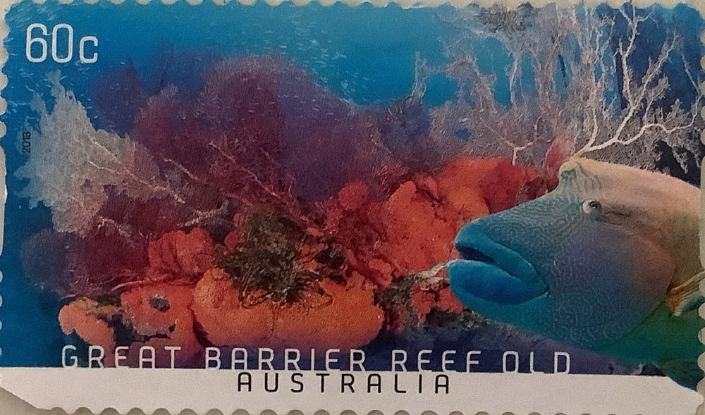 The 200th Anniversary Of The Colonization Of Australia The First Fleet In Rio De Janero