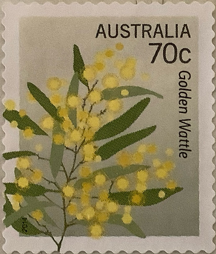 Birds And Marine Life