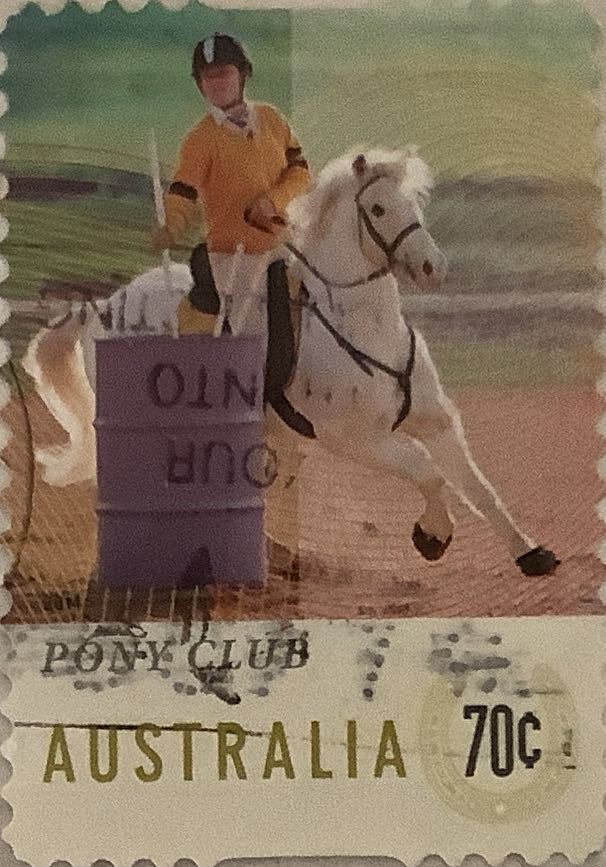 Pnc Australia International Day People With Disability Ppe Ram 20c Coin