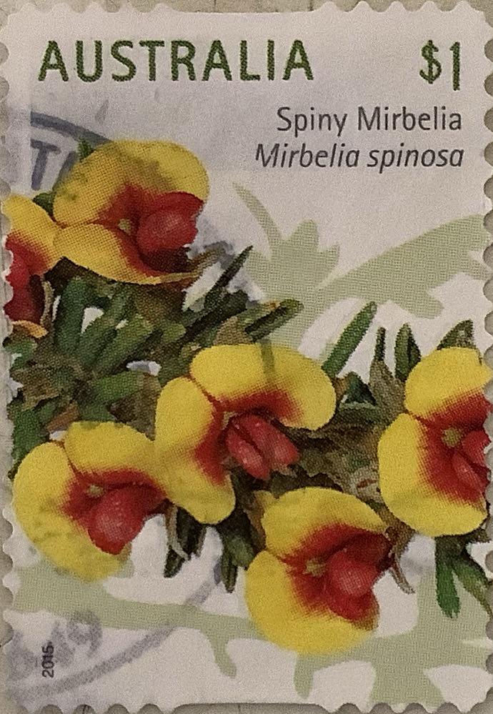 Australian Wildflowers