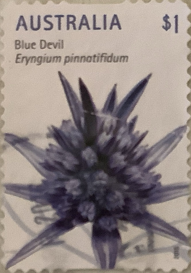 D1336 Cupcake Sprinkles