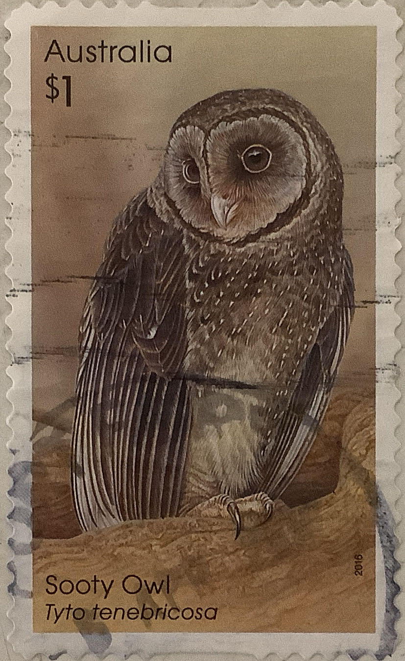 Pnc Australia Vietnam War Ram 50c Colour Commemorative Coin 1962 1975