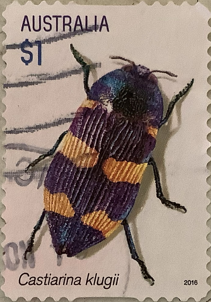 U.S. CVR SC# 11 plt # 64L1L