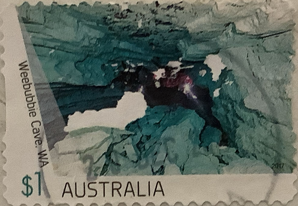 15 Editions Of Constable T Bear