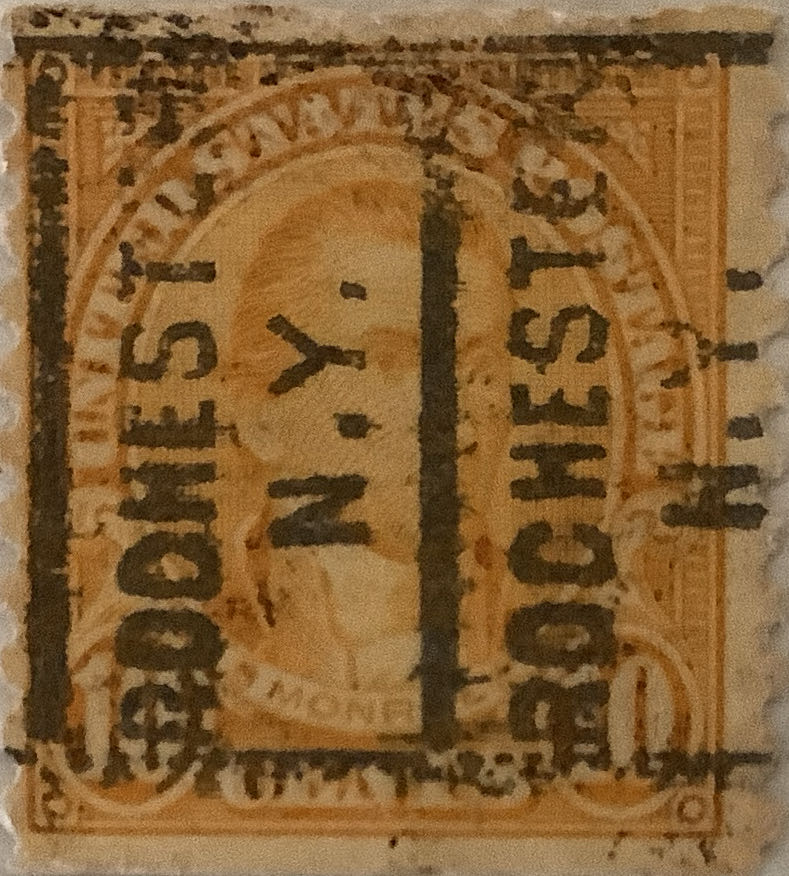 Beautiful Butterflies