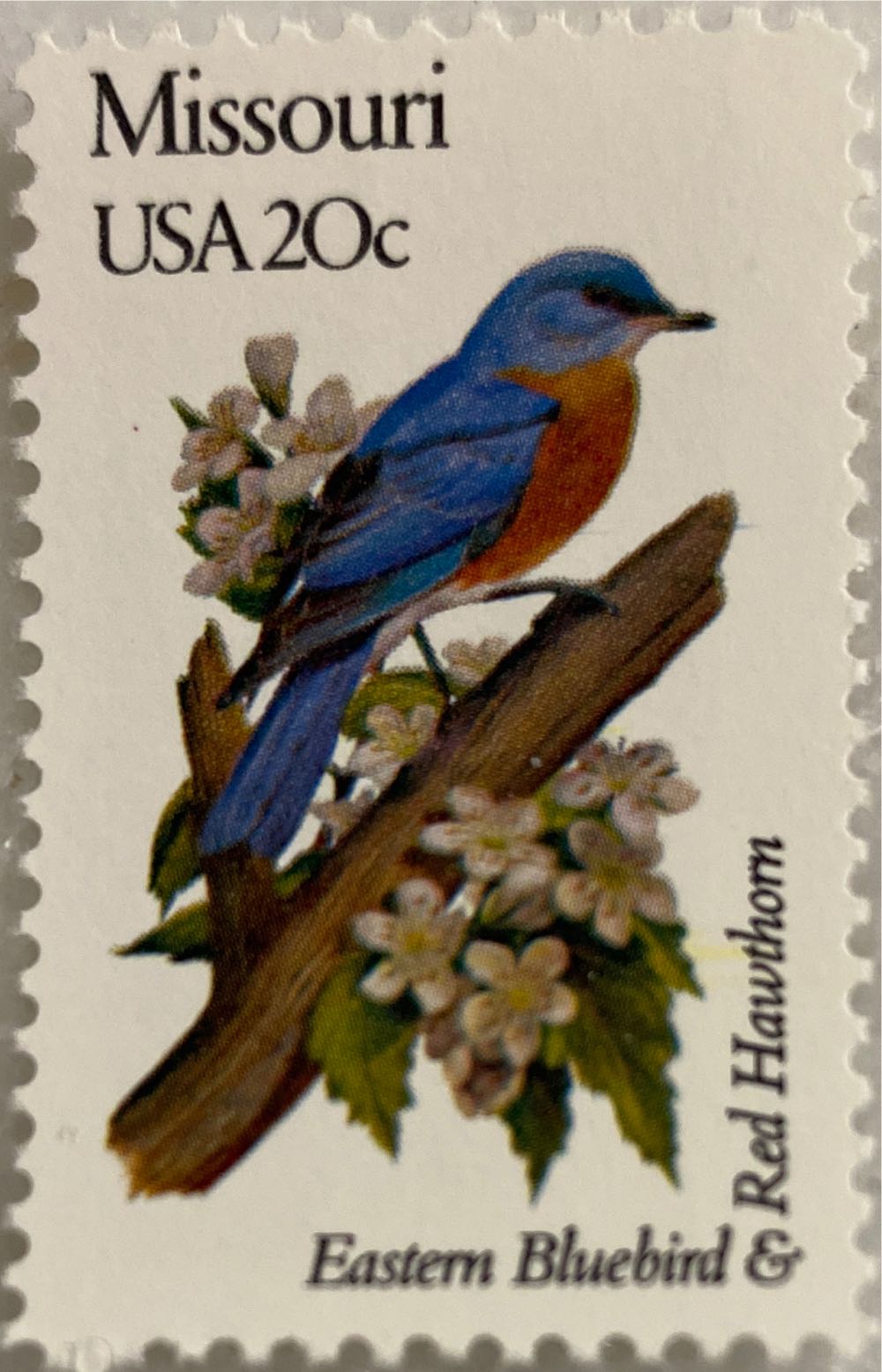 Winter Olympic Games