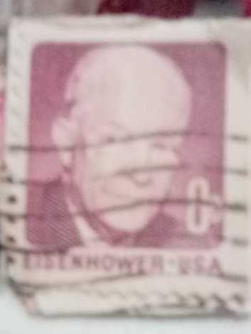 Best catch *catch of the day dies