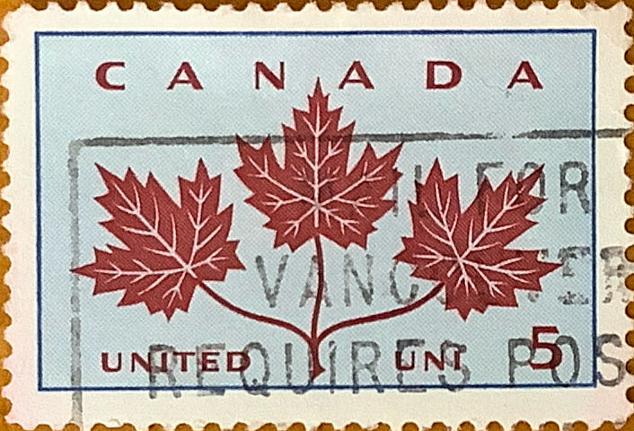 Marine Life And Minerals