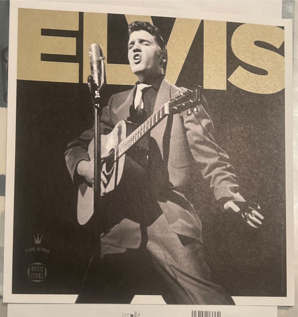 Flora And Fauna Birds From Wetlands