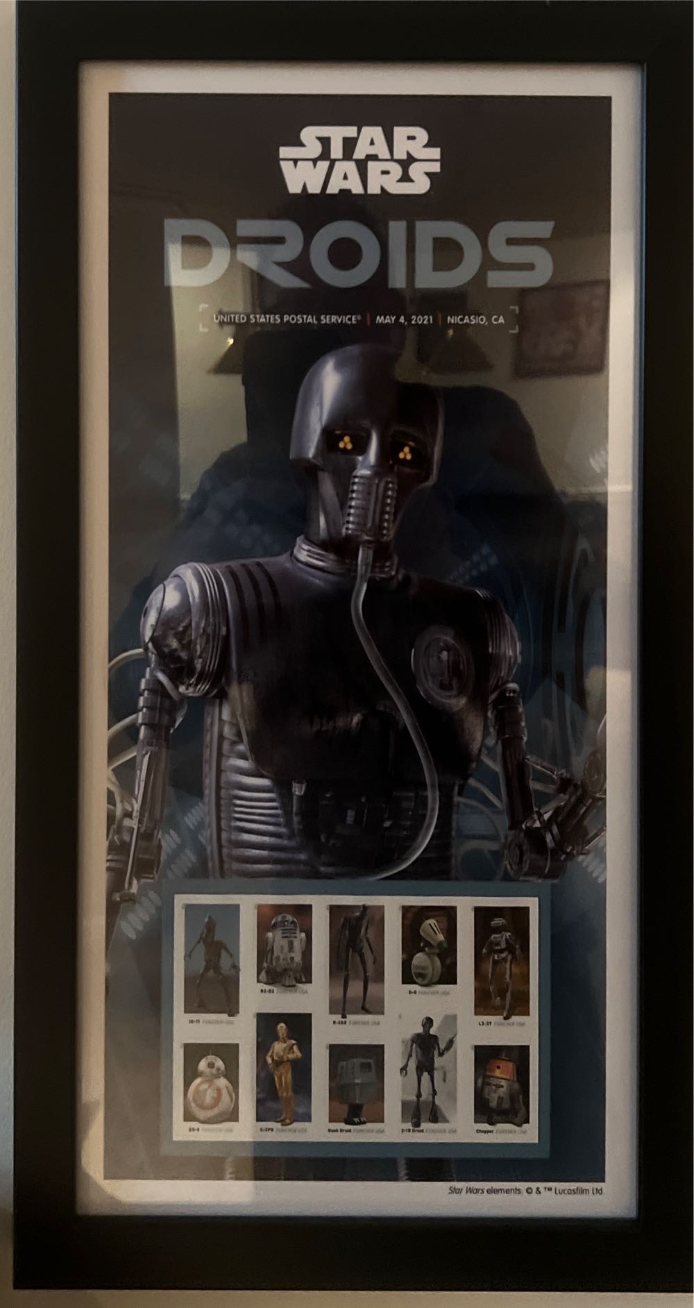 First Frost *frosted Bouquet dies