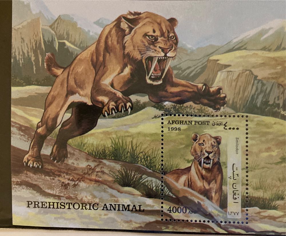 The 50th Anniversary Of The Legacy Organization