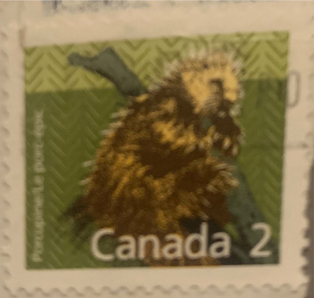 Canada: 1991 North American Porcupine  stamp collectible - Main Image 2