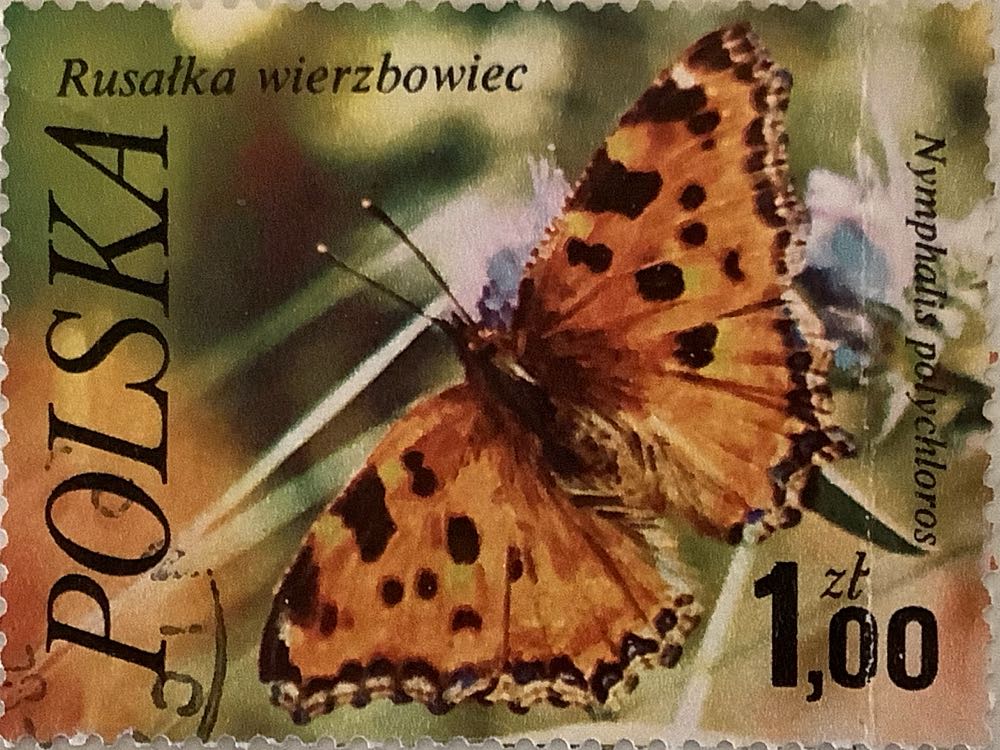 2000 Hubble Telescop