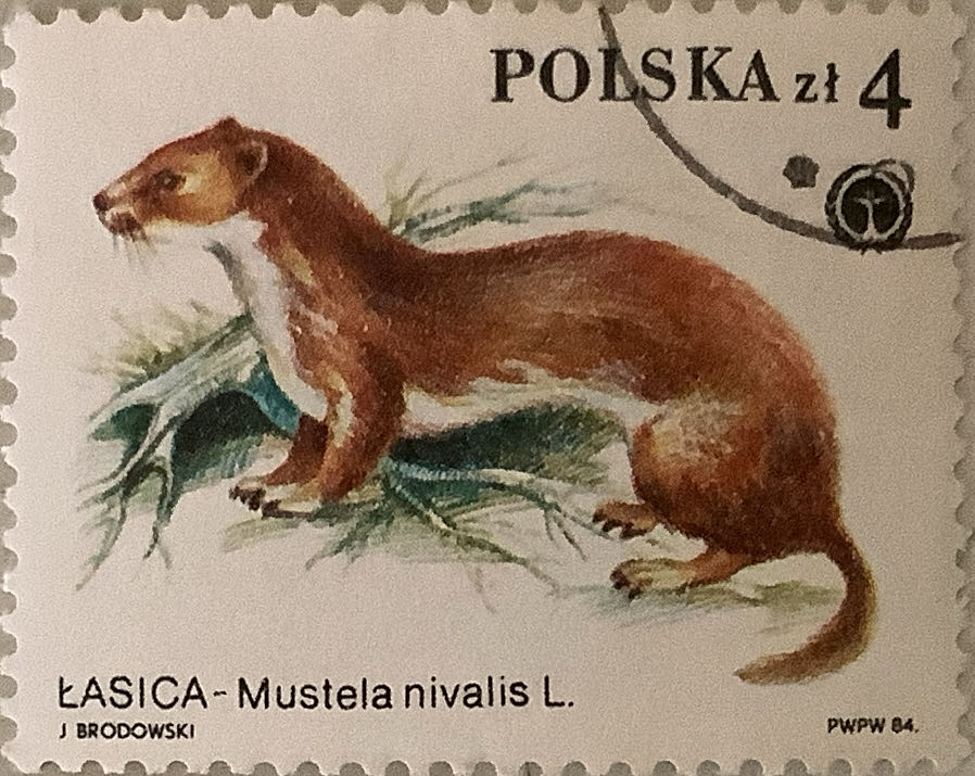 Greetings From America: Iowa