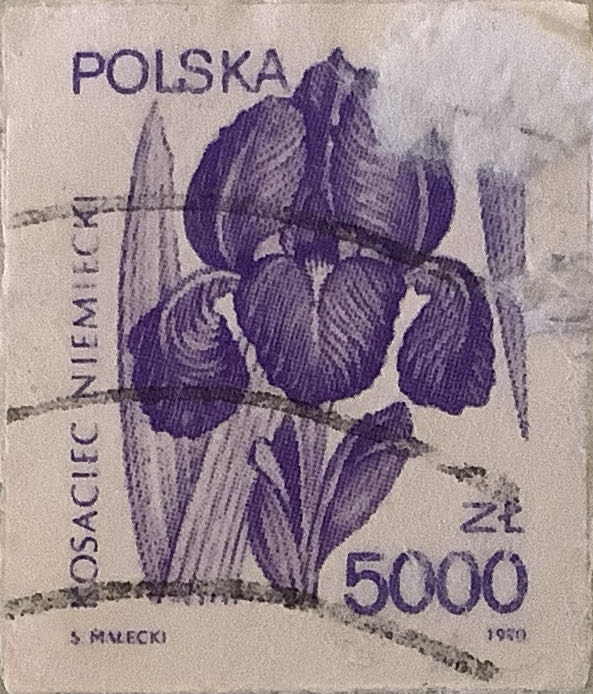 Greetings From America: Indiana