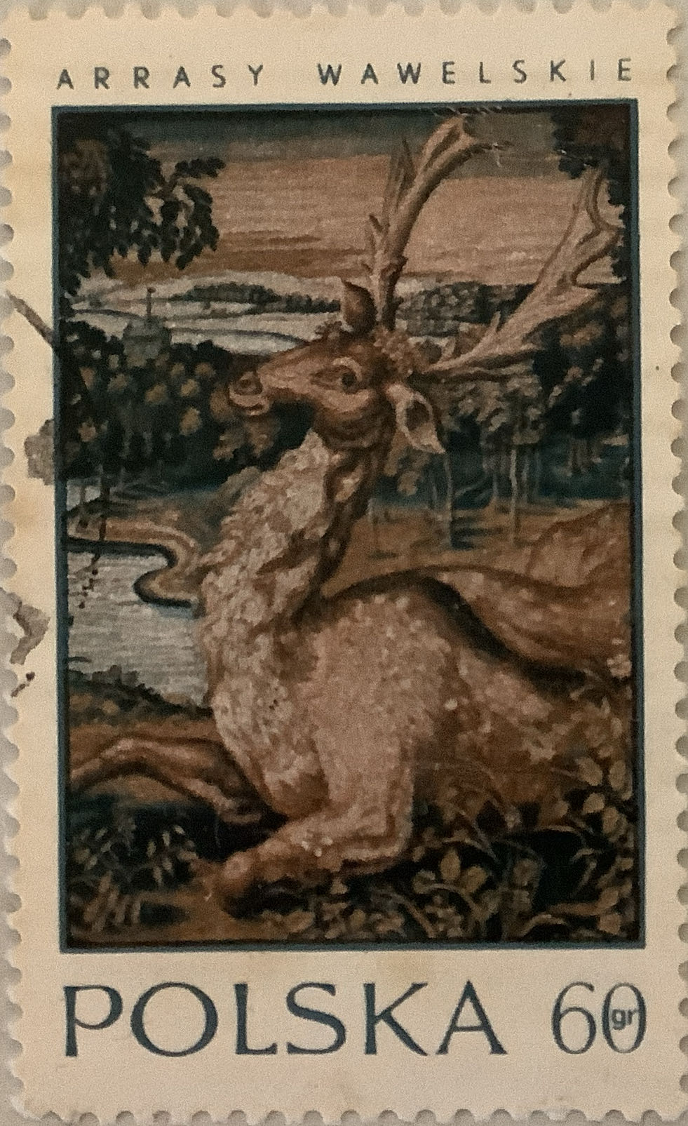 Flower Drawings By Stansslaw Wysplanski