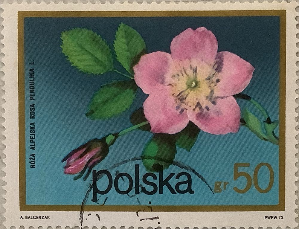 Dwight D. Eisenhower